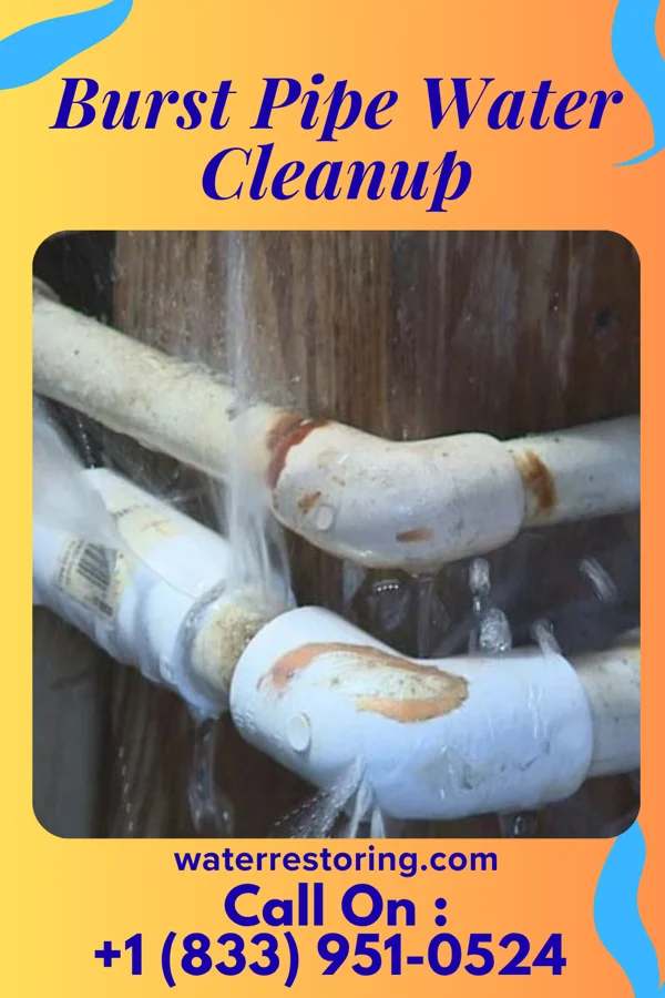 Burst Pipe Water Cleanup in Coldwater, OH