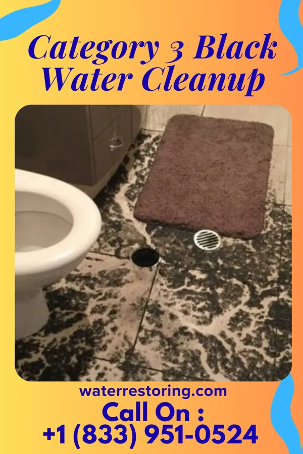 Category 3 Black Water Cleanup in Coldwater, OH