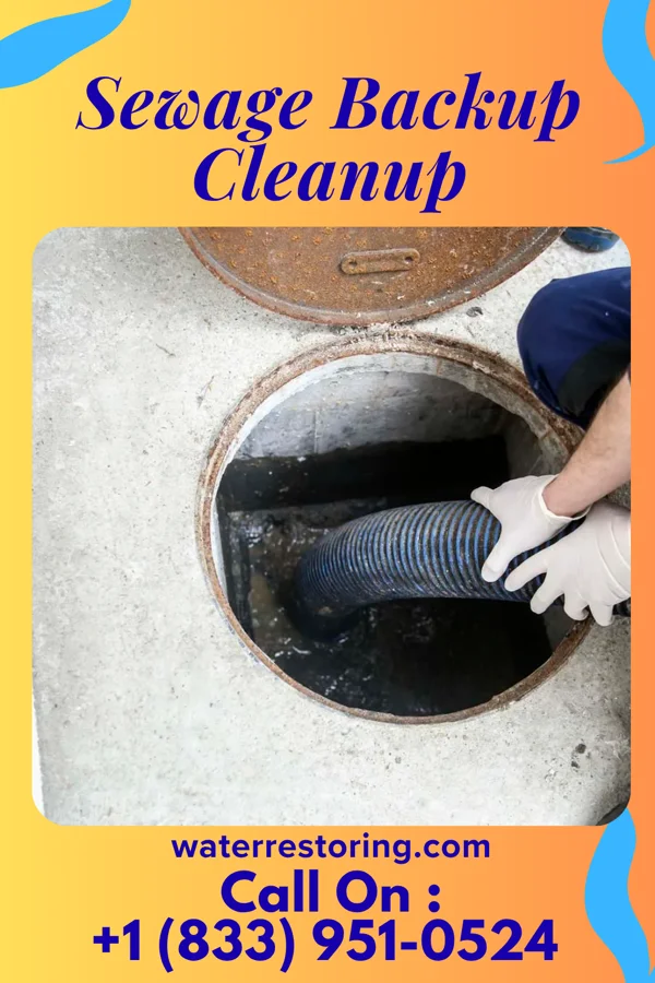 Sewage Backup Cleanup in Coldwater, OH