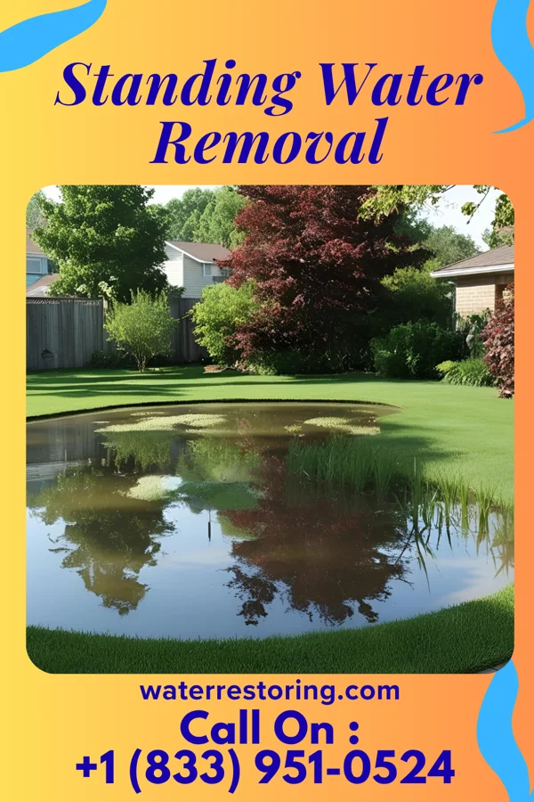 Standing Water Removal in Coldwater, OH